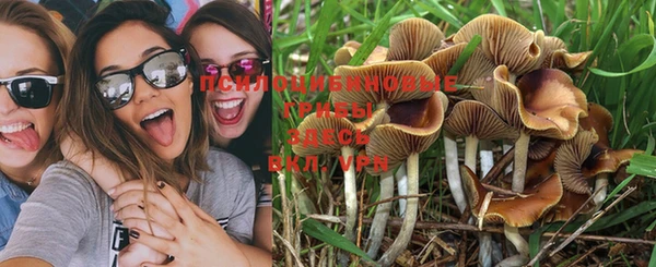 мяу мяу мука Грязи